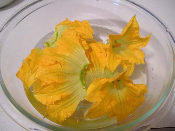Squash Blossoms