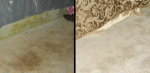 carpet