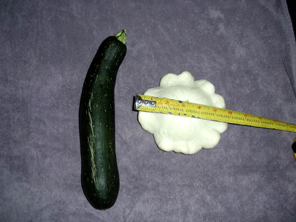 12" long zucchini