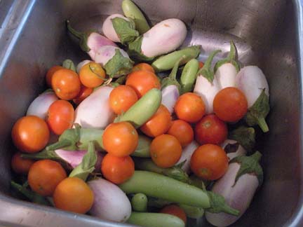 Tomatoes and Eggplant