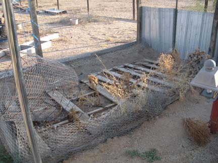 Garden August 2009 Pallet Bed
