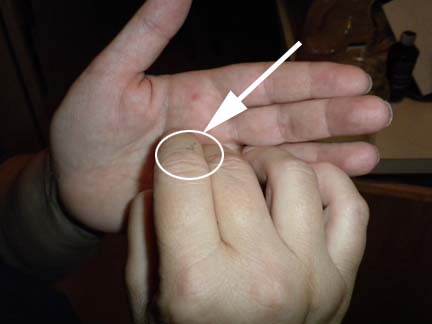 Teensy, Tiny Praying Mantis