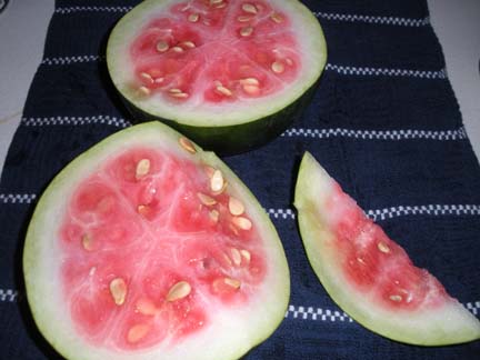 Malali Watermelon Malali Watermelon