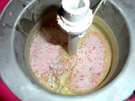 Crushed Candy Canes top the ice cream