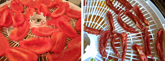 Tomatoes Before and After Dehydration