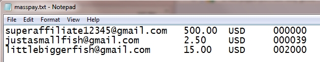Mass Pay Text File Screenshot